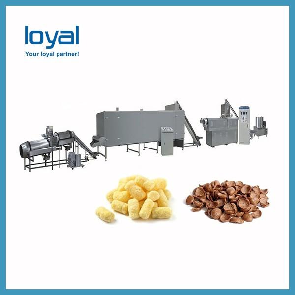 Automatic Industrial French Fries Production Line/Snack Potato Chips Making Machine